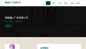 What 15shengxin.com website looked like in 2023 (This year)