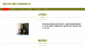 What 13chuanmei.com website looked like in 2023 (This year)