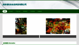 What 1iisgw.cn website looks like in 2024 