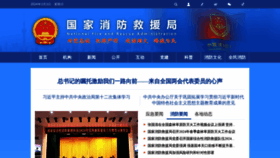 What 119.gov.cn website looks like in 2024 