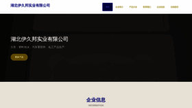 What 19809999.com website looks like in 2024 