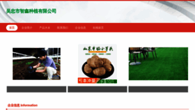 What 1918zx.cn website looks like in 2024 