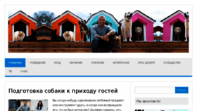 What 26dogs.ru website looked like in 2017 (6 years ago)