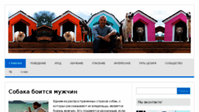 What 26dogs.ru website looked like in 2018 (5 years ago)