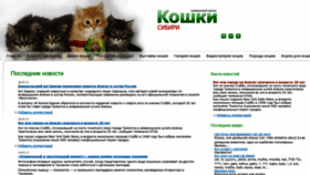 What 24cats.ru website looked like in 2019 (4 years ago)