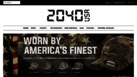 What 2040usa.com website looked like in 2019 (4 years ago)