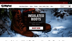 What 2bigfeet.com website looked like in 2021 (4 years ago)