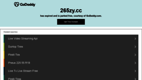 What 265zy.cc website looked like in 2021 (2 years ago)