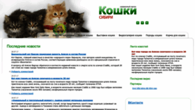 What 24cats.ru website looked like in 2023 (1 year ago)