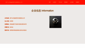 What 2t6tvz7h.cn website looks like in 2024 