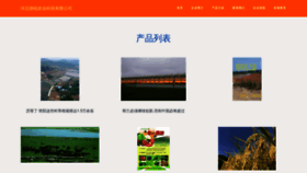 What 3order.cn website looks like in 2024 