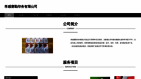 What 389sq.cn website looks like in 2024 