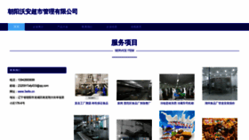 What 3w9o.cn website looks like in 2024 