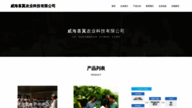 What 3x1u.cn website looks like in 2024 