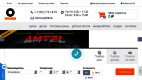 What 43shina.ru website looked like in 2016 (8 years ago)