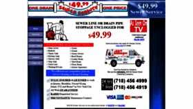 What 4999sewer.com website looked like in 2019 (5 years ago)