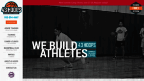 What 43hoops.com website looked like in 2019 (5 years ago)