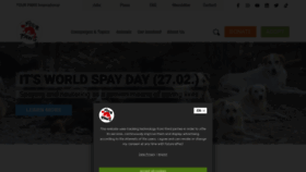 What 4-paws.org website looks like in 2024 