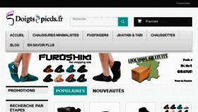 What 5doigts2pieds.fr website looked like in 2017 (6 years ago)