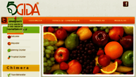 What 5gida.com website looked like in 2018 (6 years ago)