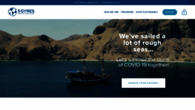 What 5gyres.org website looked like in 2020 (4 years ago)