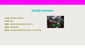 What 51sysx.com website looked like in 2023 (This year)