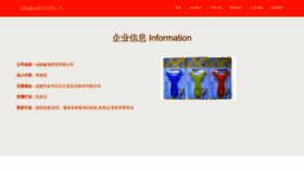 What 51xdchs.com website looks like in 2024 