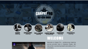 What 757carpetpro.com website looked like in 2019 (4 years ago)