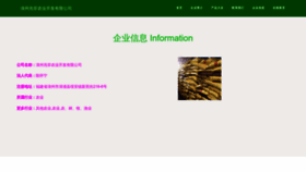 What 84164111.cn website looks like in 2024 