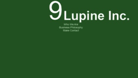 What 9lupine.com website looked like in 2020 (4 years ago)
