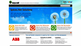 What 9rays.net website looked like in 2022 (1 year ago)