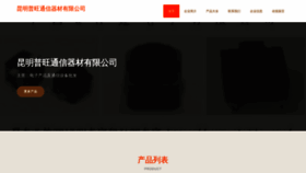 What 95lpwang.com website looked like in 2023 (This year)