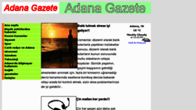 What Adanagazete.com website looked like in 2011 (12 years ago)