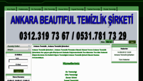 What Ankaratemizlik.info website looked like in 2012 (11 years ago)