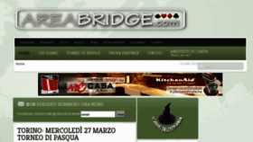 What Areabridge.com website looked like in 2013 (11 years ago)