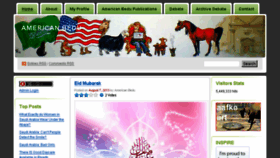 What Americanbedu.com website looked like in 2013 (10 years ago)