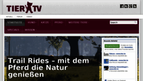 What Ads.tier.tv website looked like in 2013 (10 years ago)