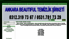 What Ankaratemizlik.info website looked like in 2013 (10 years ago)