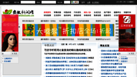 What Anhui100.cn website looked like in 2013 (10 years ago)