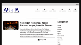 What An-ha.com website looked like in 2014 (11 years ago)