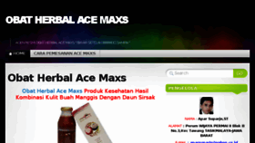 What Acemaxspusat.com website looked like in 2014 (9 years ago)