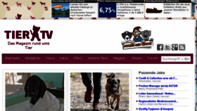 What Ads.tier.tv website looked like in 2014 (9 years ago)