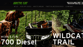 What Arcticcat.eu website looked like in 2015 (8 years ago)