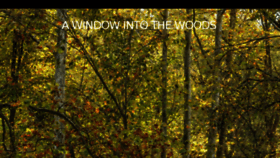 What Awindowintothewoods.com website looked like in 2015 (8 years ago)