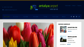 What Antalyacarpet.com website looked like in 2015 (8 years ago)
