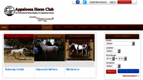 What Appaloosa.myhorseforsale.com website looked like in 2015 (8 years ago)