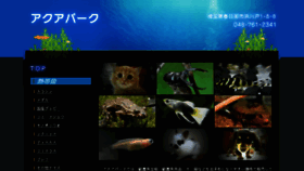 What Aquapark.jp website looked like in 2016 (8 years ago)