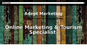 What Adeptmarketing.co.nz website looked like in 2016 (8 years ago)