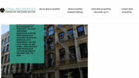 What Atrianyc.com website looked like in 2016 (9 years ago)