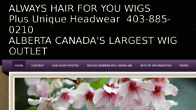 What Alwayshairforyou.com website looked like in 2017 (7 years ago)